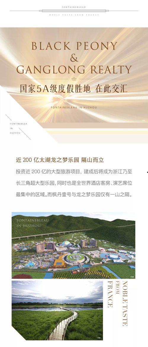 枫丹内部消息爆料最新,最新动态与未来展望