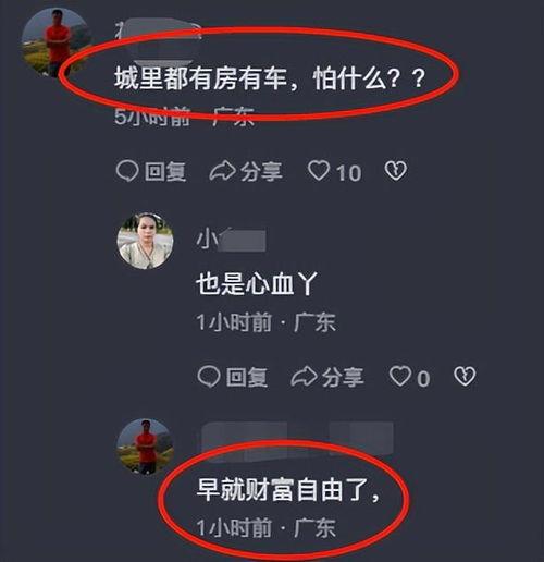 小六最新爆料视频大全集,揭秘幕后真相，带你走进事件核心